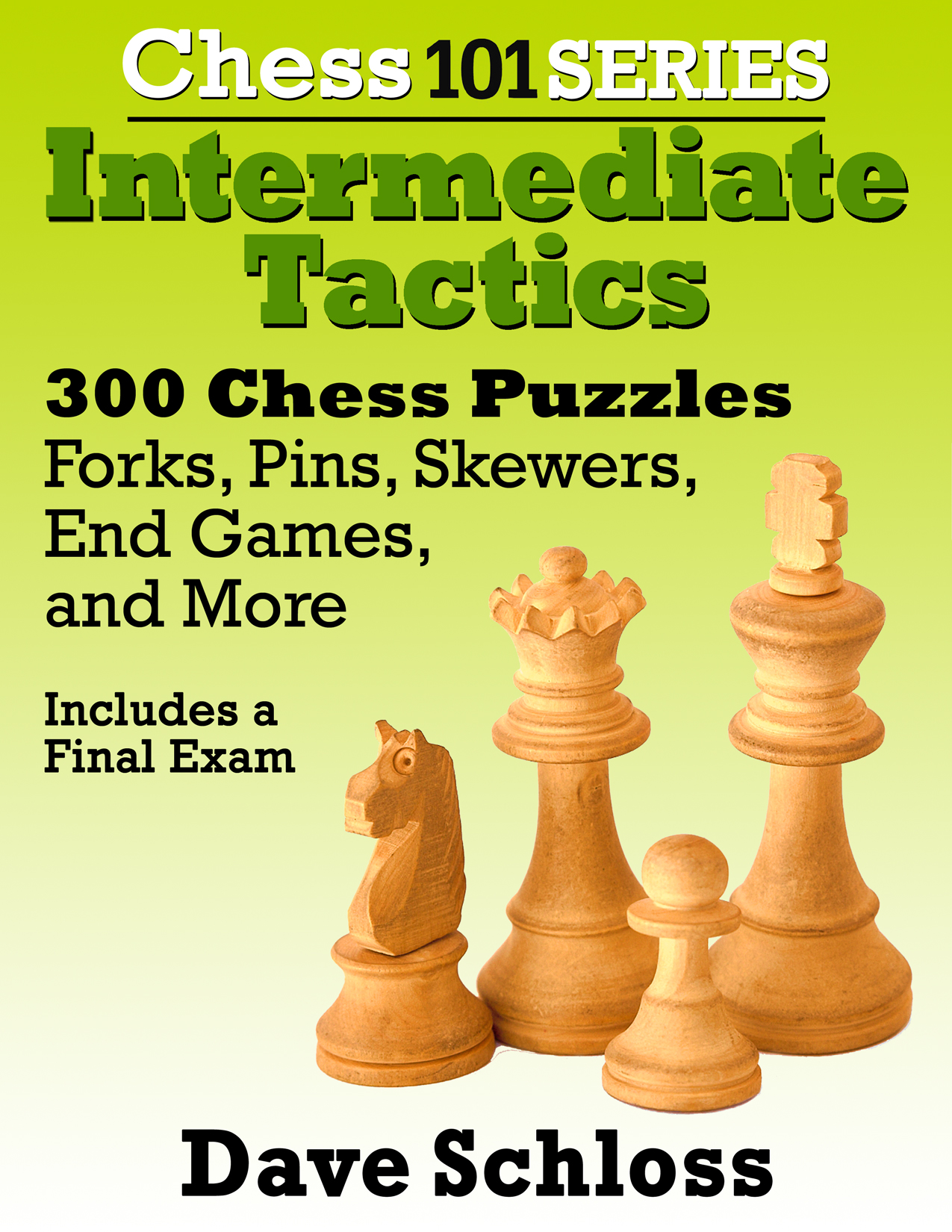 300 chess tactics for the intermediate level chess player.